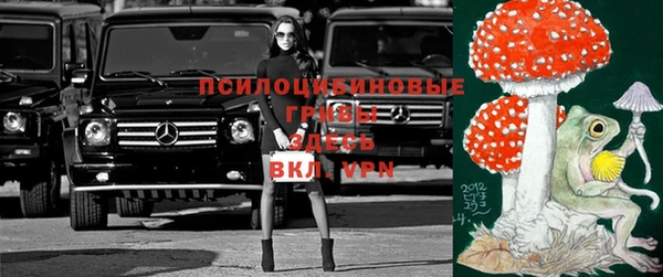 ECSTASY Киселёвск