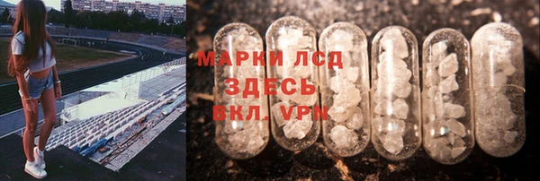 гашик Корсаков