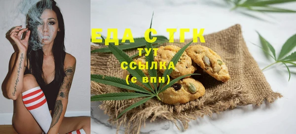 гашик Корсаков