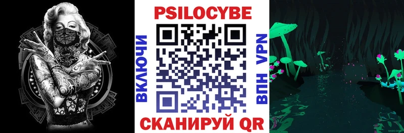 Псилоцибиновые грибы Cubensis  Купить где  Грайворон 